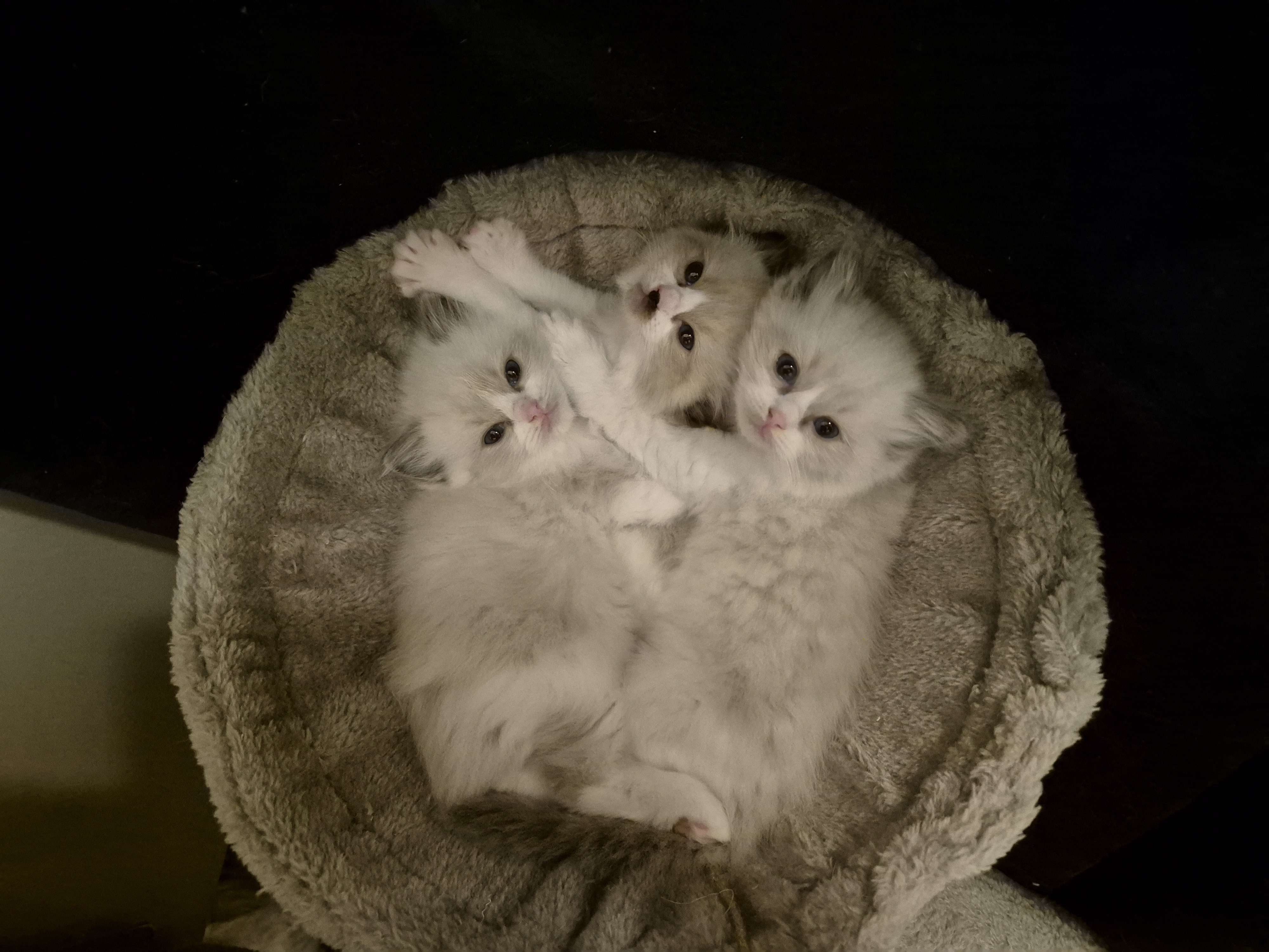 Foto 19