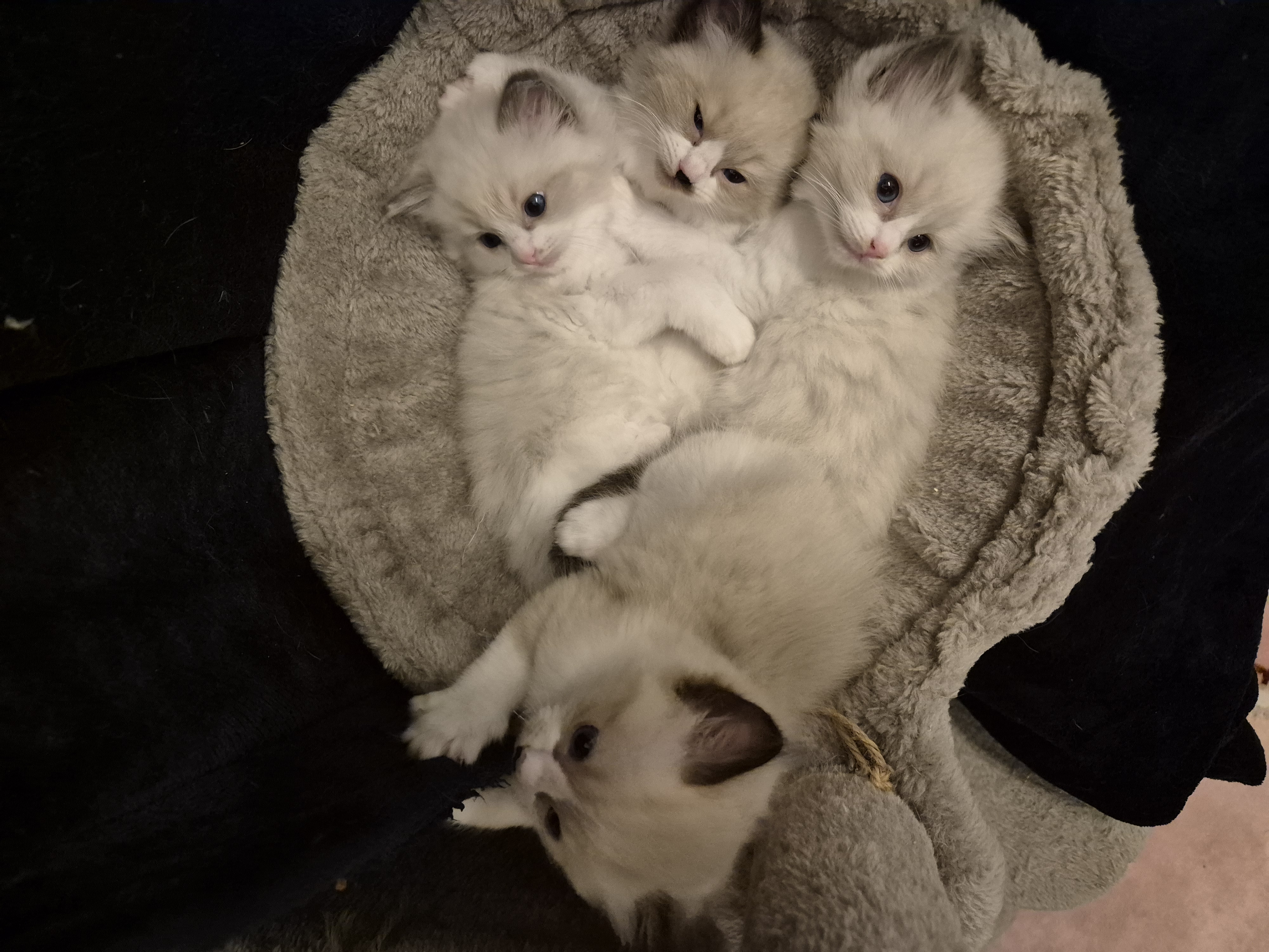 Foto 16
